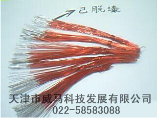 【脫漆劑】"不脫漆，何以蛻變？"